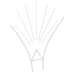 permedjat_white_icon_bg_transparent